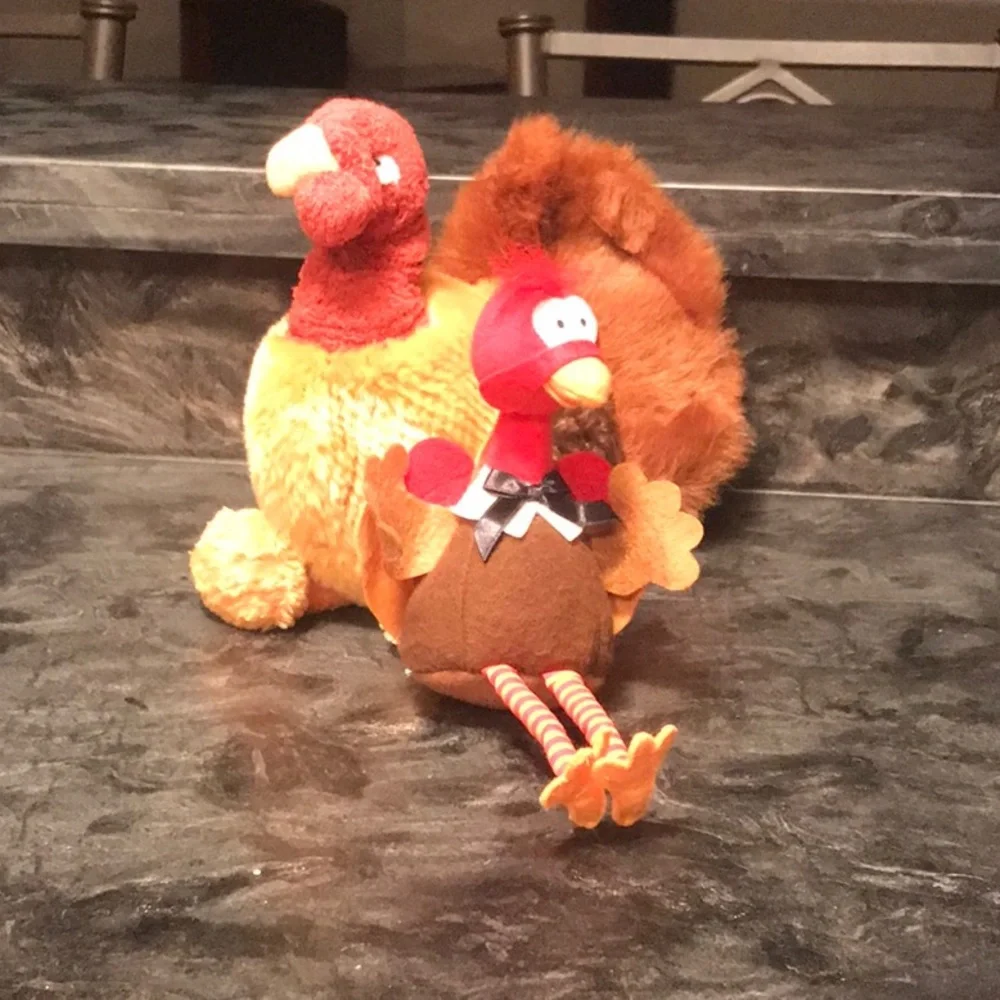 Thanksgiving turkeys